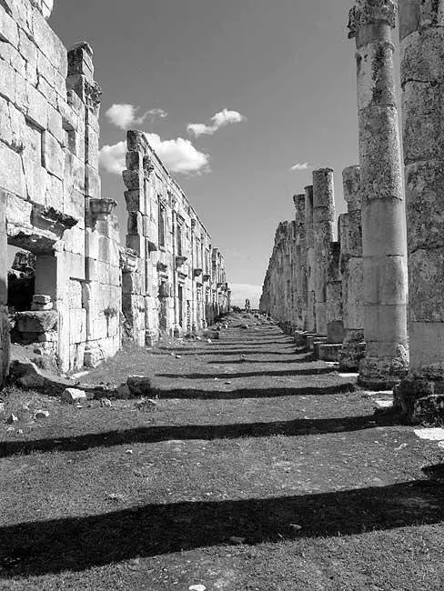 Рис 140 Развалины античной Апамеи Сирия Фотография 2005 года Рис - фото 129