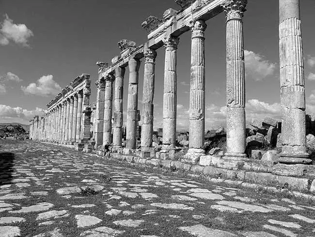 Рис 141 Развалины античной Апамеи Сирия Фотография 2005 года Рис - фото 130