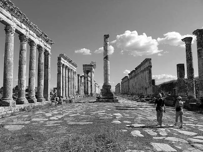 Рис 142 Развалины античной Апамеи Сирия Фотография 2005 года Рис - фото 131