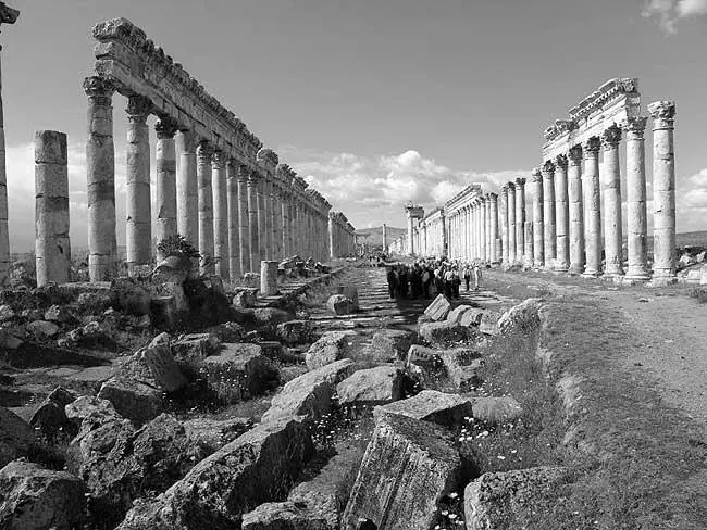 Рис 143 Развалины античной Апамеи Сирия Фотография 2005 года Рис - фото 132