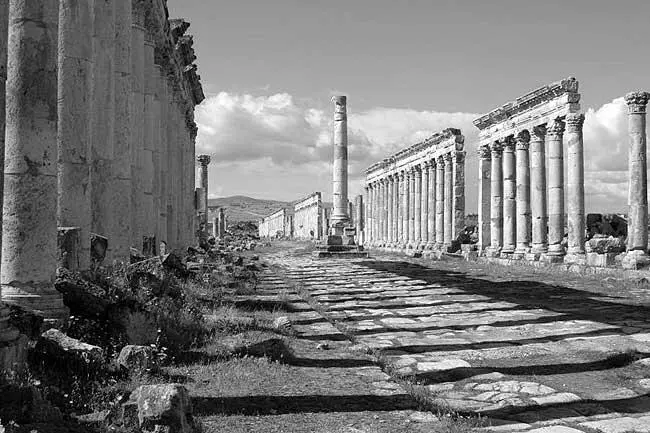 Рис 144 Развалины античной Апамеи Сирия Фотография 2005 года Рис - фото 133