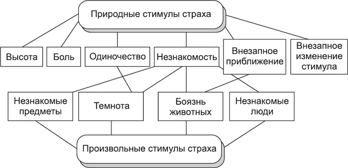 Рис 21 Причины страха Дж Боулби выделил две группы причин страха - фото 2