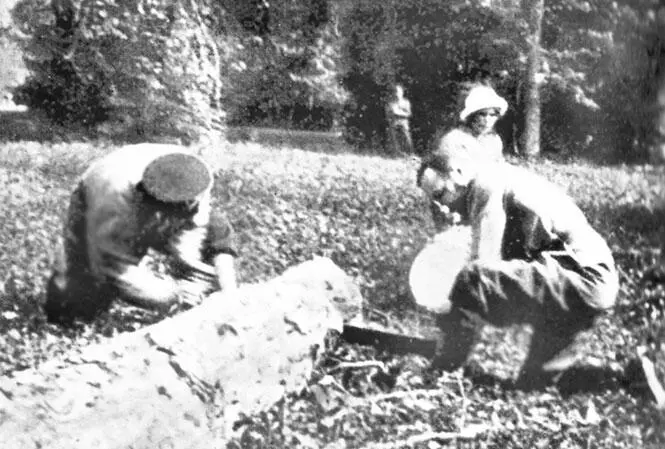 Николай II пилит ствол дерева в Александровском парке 1917 г Нельзя не - фото 46