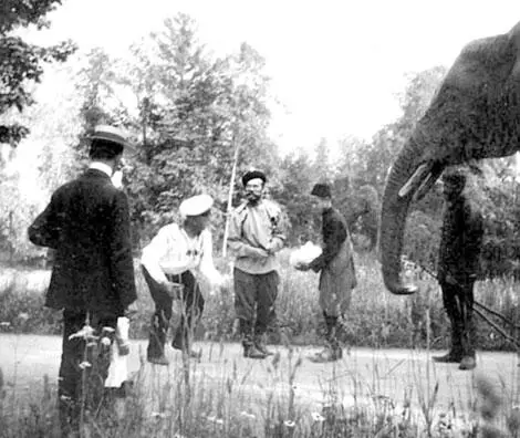 Кормление слона Николай II П Жильяр Алексей боцман А Деревенько 1914 г - фото 183