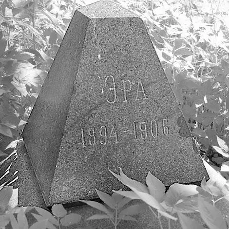Эра Николай II в Ливадии с Вороном 1894 г Вторую собаку по кличке - фото 191