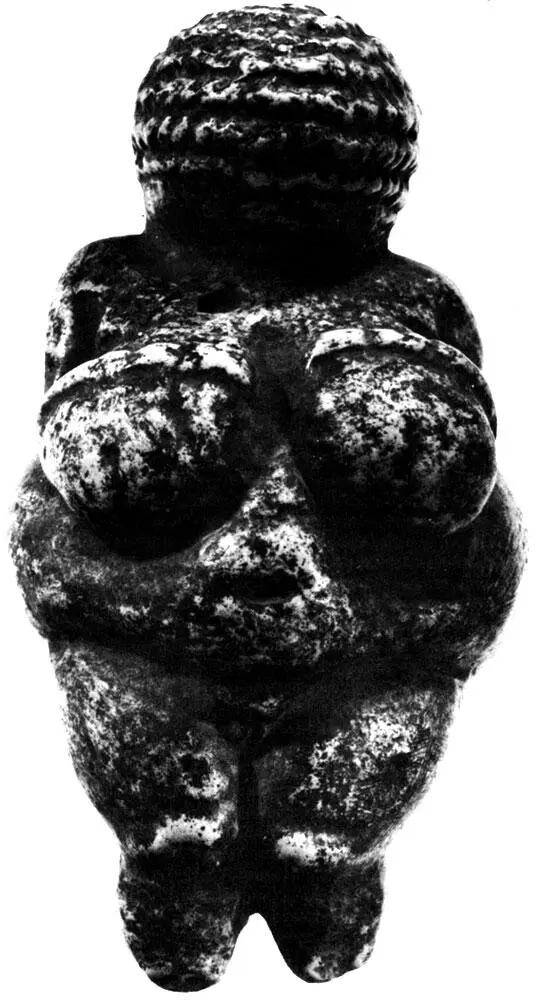 Вырезанная из камня Венера из Виллендорфа была найдена в Австрии Ее руки - фото 105
