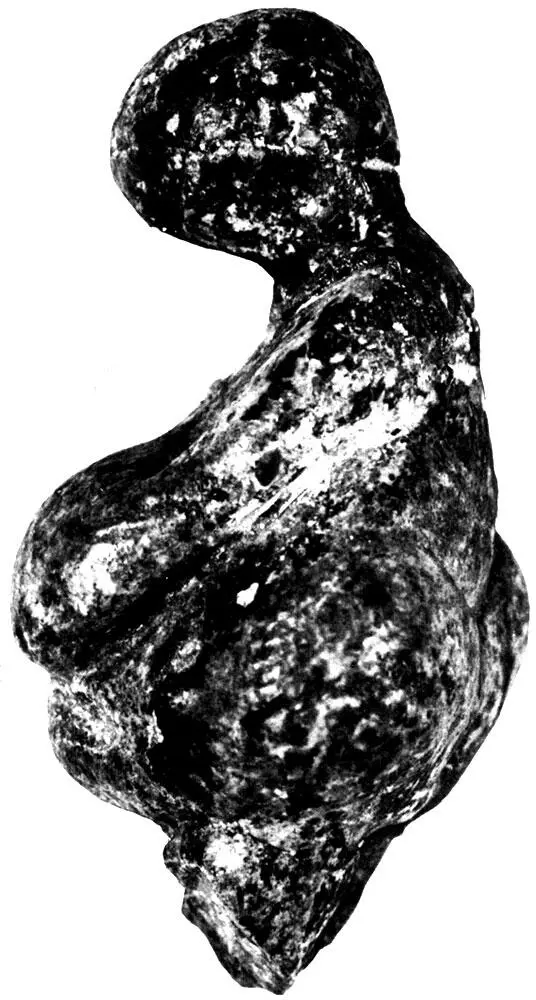 Эта вырезанная из бивня мамонта Венера была найдена в Гагарине СССР верховья - фото 108
