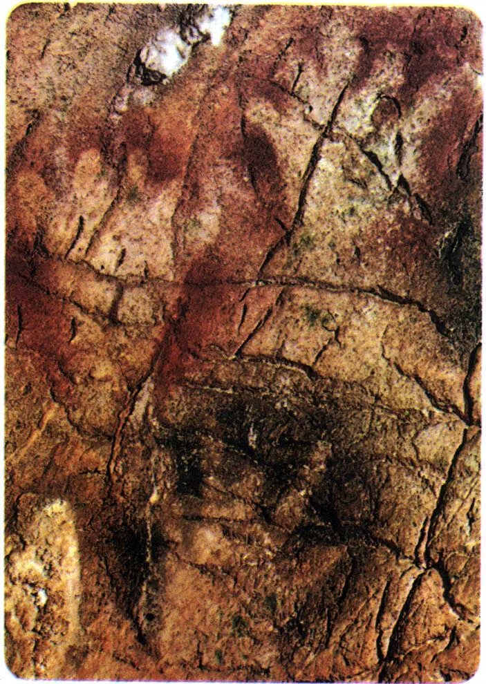 Отпечатки ладоней сохраняются во французской пещере Гаргас свыше 10 тысяч лет - фото 120