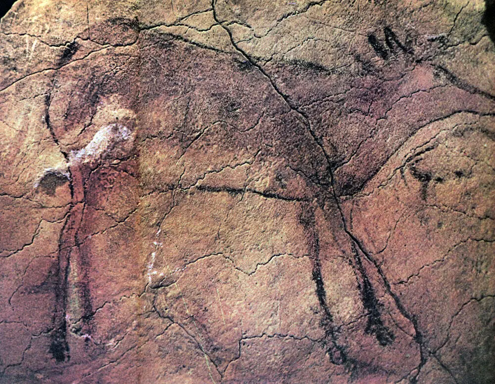 Альтамира Нарисованная в натуральную величину на потолке самка оленя обладает - фото 123