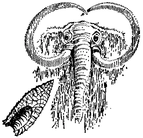 Весной 1925 г после полудня чернокожий ковбой Джордж МакДжанкин ехал рысцой - фото 61