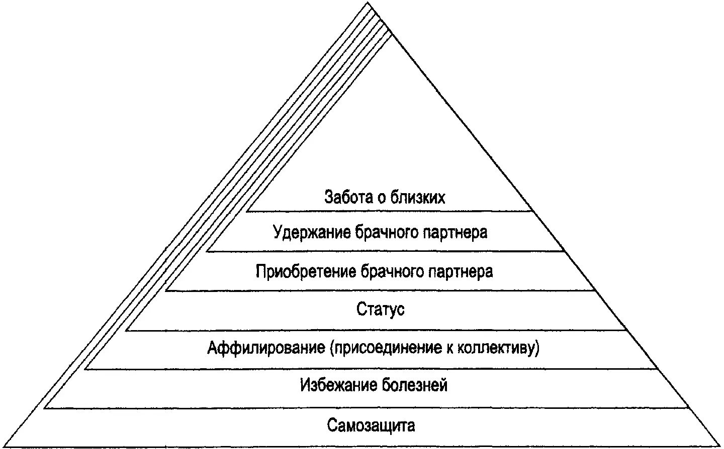 Рис 21 Иерархия человеческих потребностей по мере их возникновения Ваша - фото 2