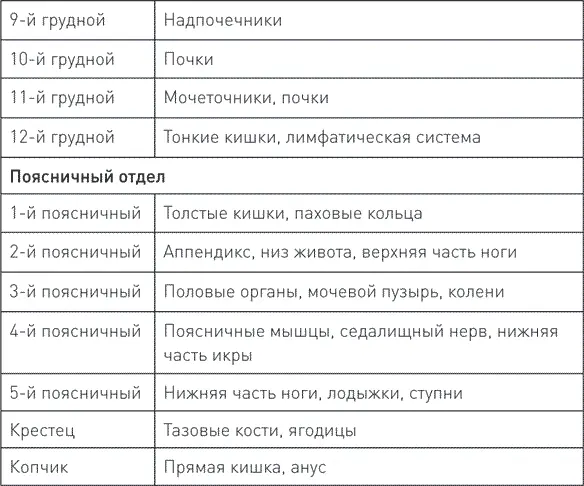Причины заболеваний могут быть связаны с мышечным тонусом прилегающих мышц - фото 4