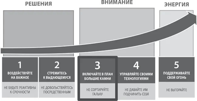 Правило 3 Включайте в план большие камни не сортируйте гальку Внимание вот - фото 19