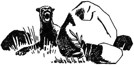 HJALMAR THESEN A Deadly Presence 1982 text Hjalmar Thesen All rights - фото 68