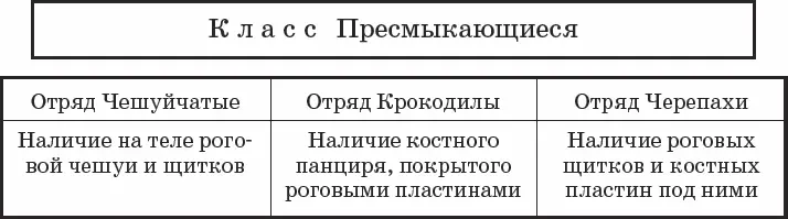 Затем учащиеся знакомятся с представителями выделенных отрядов начиная с - фото 2