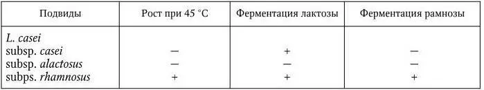 От всех других лактобацилл L casei отличается тем что до 90 штаммов всех - фото 231