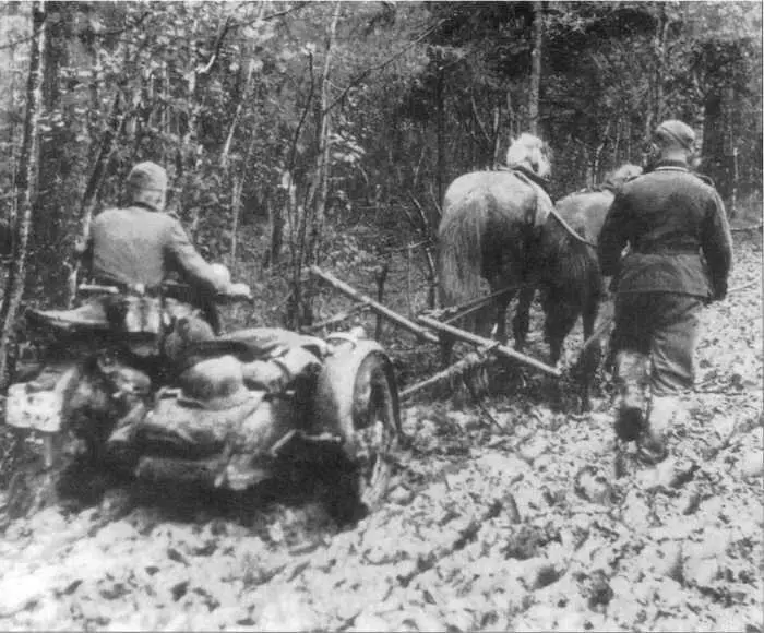 Всегда в одно и то же время весной и осенью начинали лить дожди - фото 136