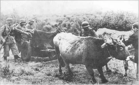 К 1945 г германская армия отчаянно нуждалась во всем особенно страдая от - фото 243