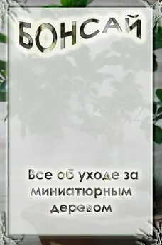 Илья Мельников - Все об уходе за миниатюрным деревом