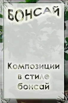 Илья Мельников - Композиции в стиле бонсай