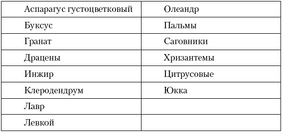 Легкая почва с большим запасом питательных веществ 2 части листовой 2 части - фото 8