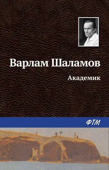 Варлам Шаламов - Академик