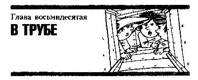 Глава восьмидесятая В ТРУБЕ Буравчик Огонёк Незнайка и Пёстренький миновали - фото 105