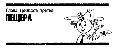 Глава тридцать третья ПЕЩЕРА Извиваясь и петляя пещера уводила путников в - фото 43