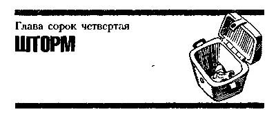Глава сорок четвёртая ШТОРМ В это время катер с шестью пассажирами на борту - фото 56