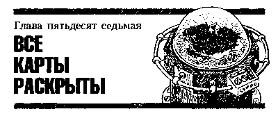 Глава пятьдесят седьмая ВСЕ КАРТЫ РАСКРЫТЫ Хорошо я расскажу всё с самого - фото 72