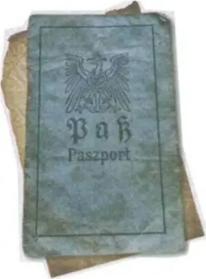 Германский оккупационный паспорт из Гродно Даже для того чтобы сходить в - фото 69