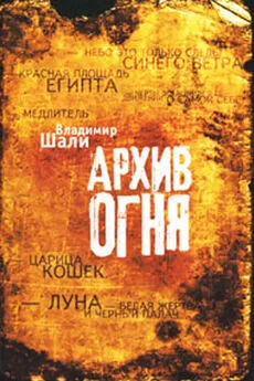 Владимир Шали - Архив огня