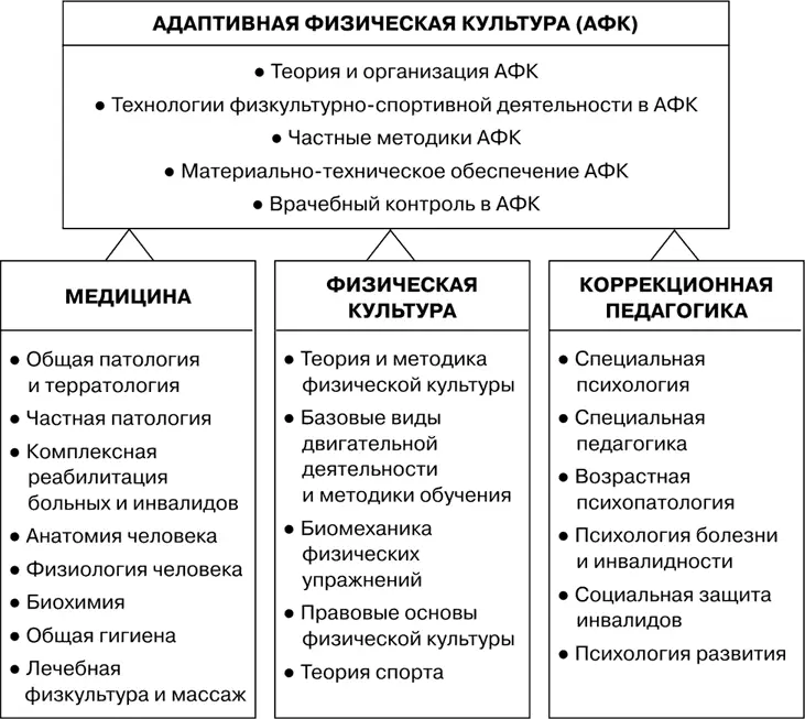 Рис 4 Дисциплины физической культуры медицины и коррекционной педагогики - фото 4