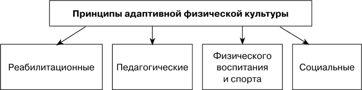 Рис 15 Принципы адаптивной физической культуры Четвертая группа принципов - фото 15