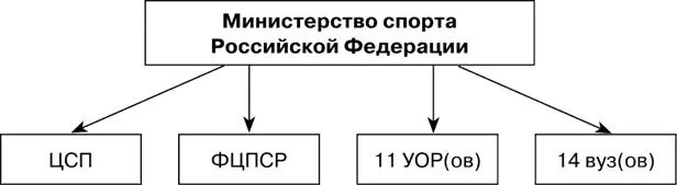 Рис 59 Подведомственные Министерству спорта Российской Федерации федеральные - фото 72