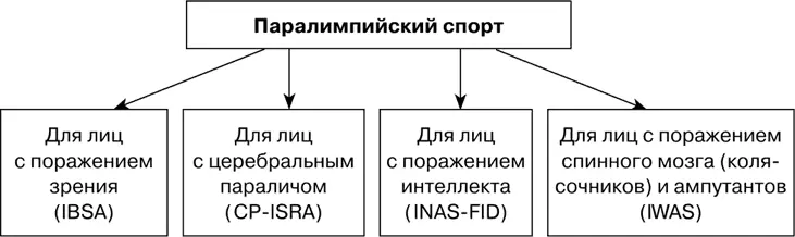 Рис 62 Направления паралимпийского спорта и курирующие их международные - фото 78