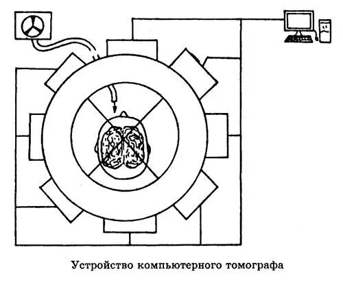 Три тысячелетия не предел для компьютерной томографии Три миллиона лет назад - фото 106