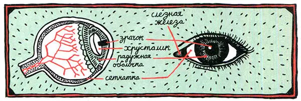 Значит все это затем чтобы мы хуже видели Но мы же отлично видим Верно Но - фото 116