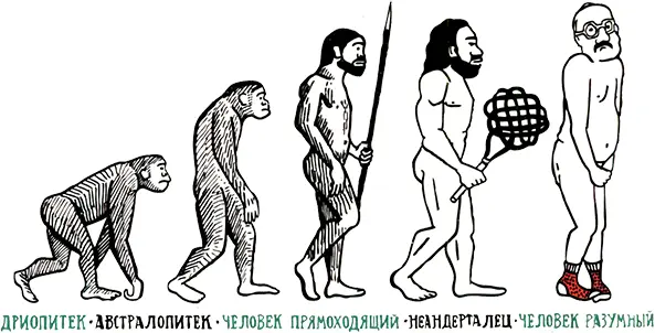 Что уже найдено Люси конечно не единственная такая В пустыне Чада найдена - фото 121