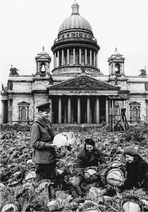 Капустное поле в сквере перед Исаакиевским собором Весной 1942 года все газоны - фото 17