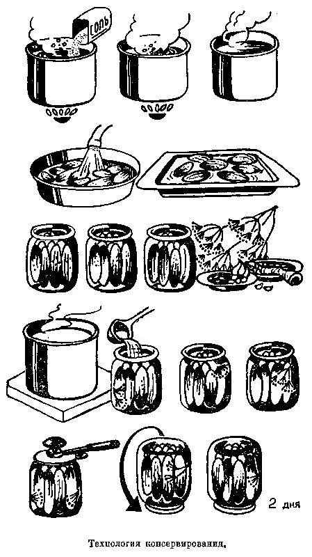 Для ускорения процесса консервирования банки целесообразно заполнять горячими - фото 36