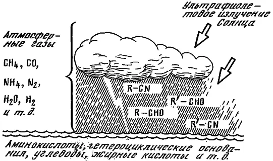 Рис 1 Образование простейших органических соединений из газов первичной - фото 1
