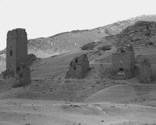 Рис 99 Башня Элахбела Домамогилы как считается начали появляться в - фото 99