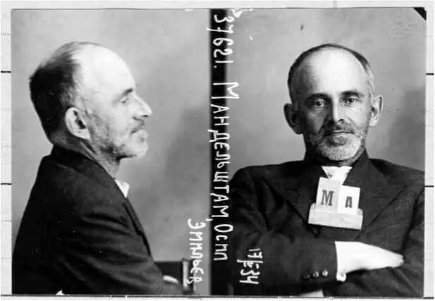 Осип Мандельштам Гулаг 1934 г Мандельштаму разрешили самому выбрать место - фото 9