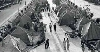 Ташкент Весна 1966 года После хождения по городу я приношу на ботинках к - фото 99