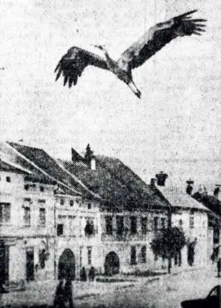Вчера отбирая снимки для нашего с вами Окна я положил рядом две фотографии - фото 43