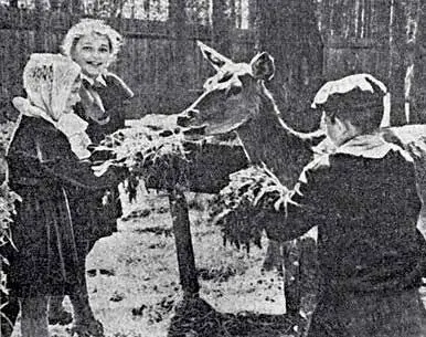 Общая любимица больших и маленьких ребят олениха Ланочка Кормильцев у нее хоть - фото 36