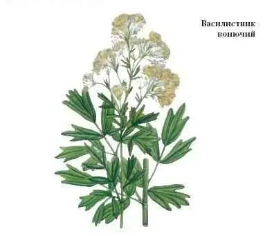ВЕГЕТАТИВНАЯ НЕРВНАЯ СИСТЕМА комплекс периферических нервов регулирующих - фото 104