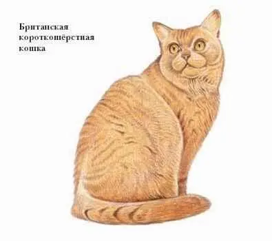 БРОЖЕНИЕ анаэробный ферментативный процесс окисления органических соединений - фото 86