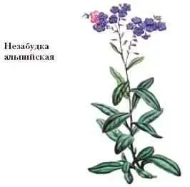 НЕЙРОН нервная клетка основная структурная и функциональная единица нервной - фото 78
